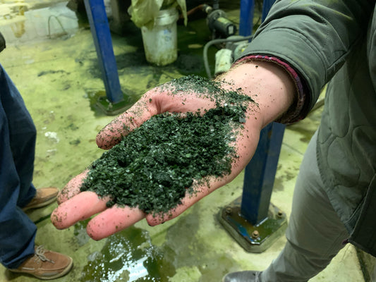 5 Types of Algae & Health Benefits of Each