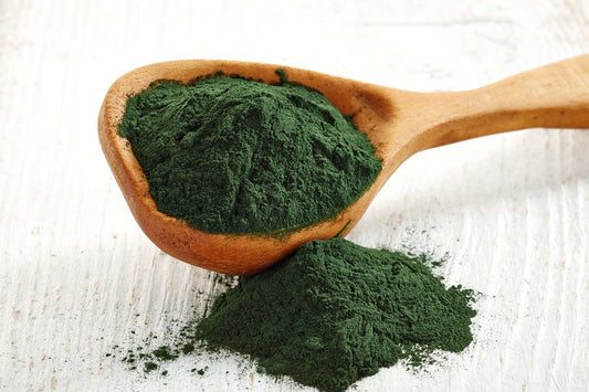 Algae