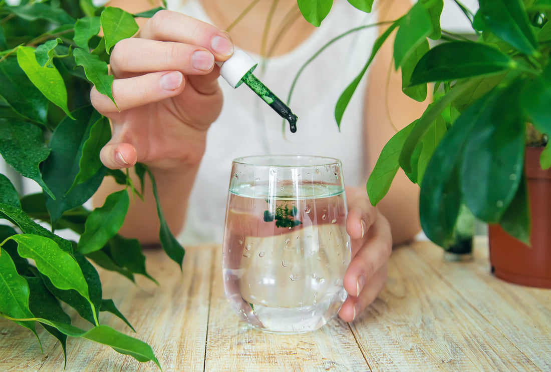 Should You Take Chlorophyll on an Empty Stomach?