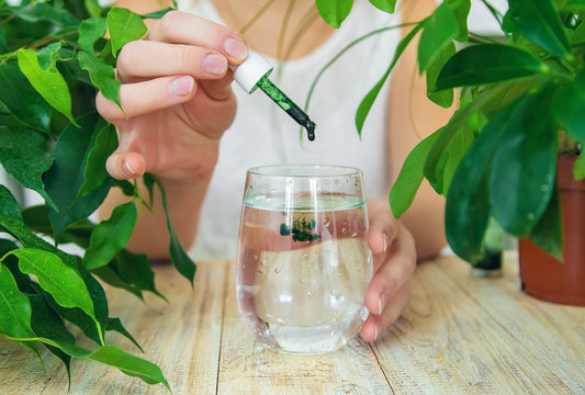 Should You Take Chlorophyll on an Empty Stomach?