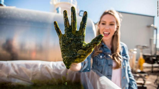 Experts say algae is the food of the future. Here's why.