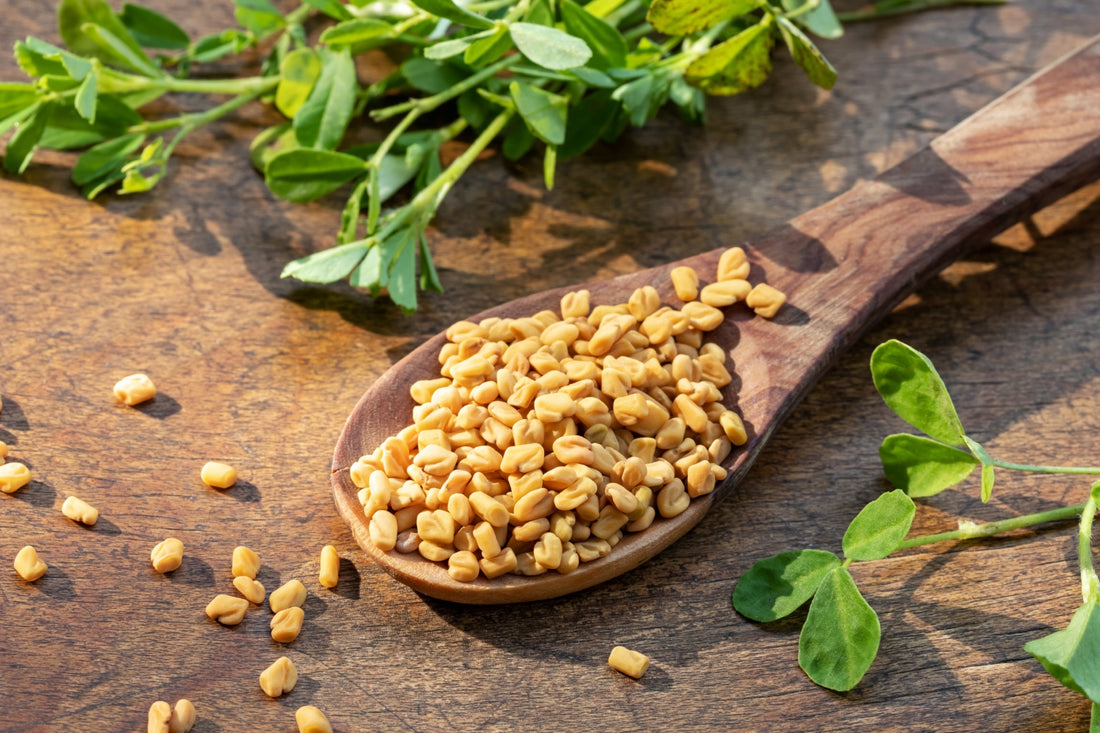 Can Fenugreek Help Boost Testosterone in Men?