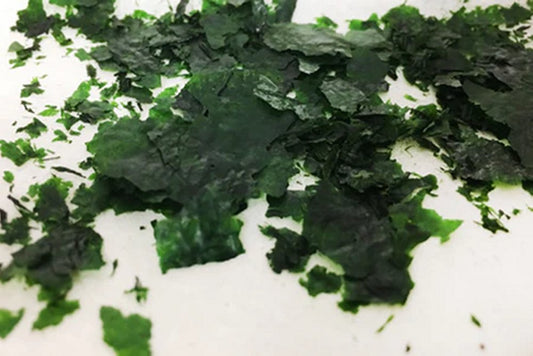 Can Algae Save Us from the Impending Freshwater Crisis?