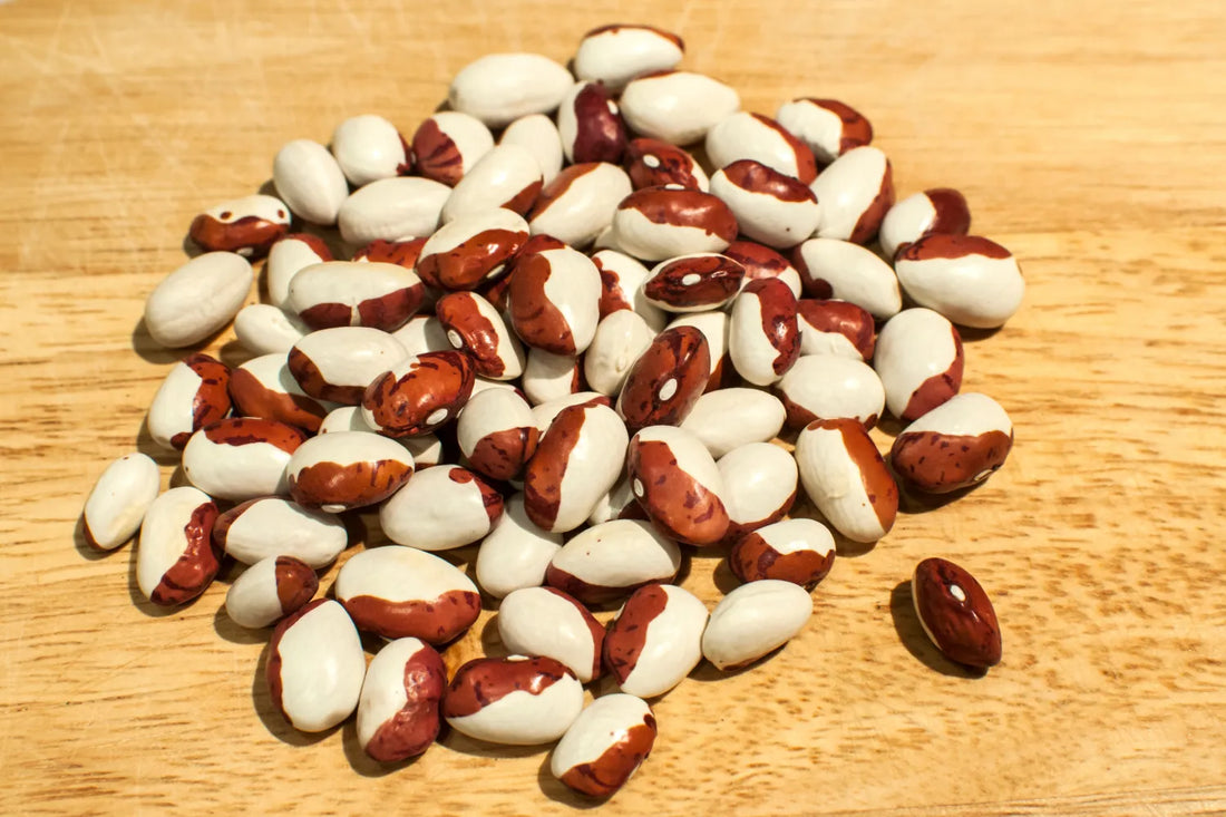 Phosphatidylserine