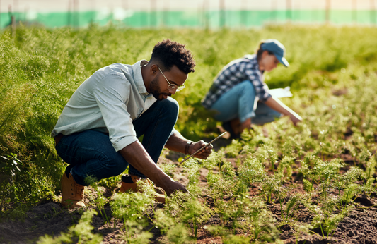 How Sustainable Farming Is Changing the Way We Eat
