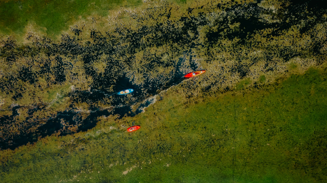 Stronger Science To Support AlmegaPL®: iwi life™ Heart is clinically shown to support heart health*