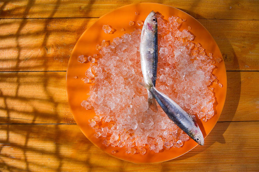 A clock made from ice and fish