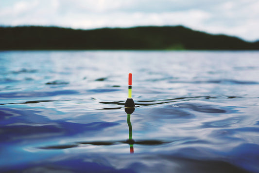 How Algae Provides Solutions to the Overfishing Problem