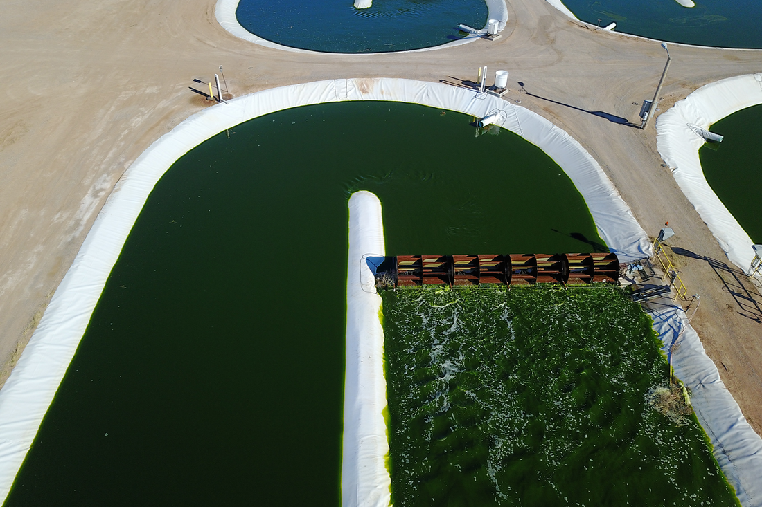 Sustainable Supplements: How Are They Sourced?