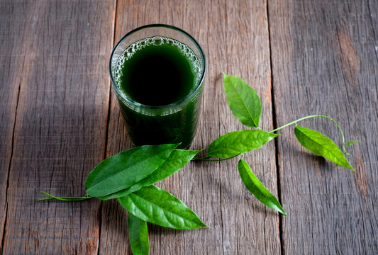 How To Take Chlorophyll To Improve Your Diet