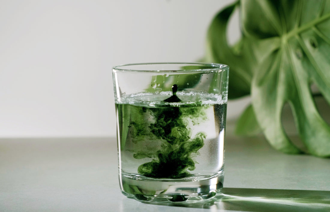 How Much Chlorophyll Should You Take Per Day?