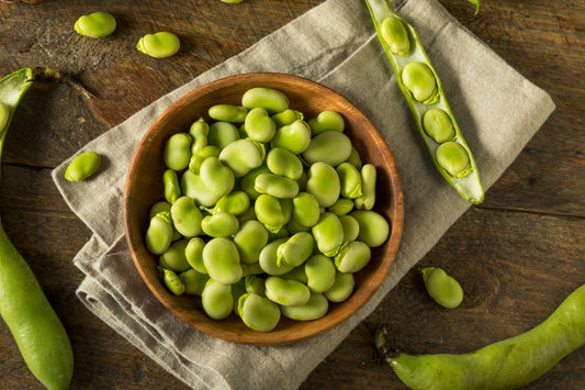 Are Fava Beans a Good Source of Protein?