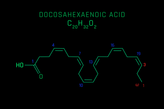 The Health Benefits of Docosahexaenoic Acid: The Ultimate Guide (DHA)