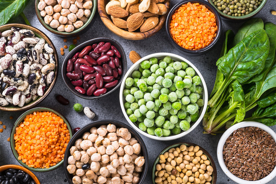 What Is Plant-Based Protein? A Helpful Guide