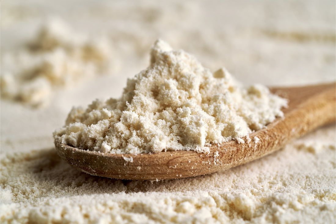 Whey vs. Plant Protein: Which One Is Best for You?
