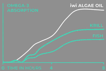 iwi algae oil higher absorption