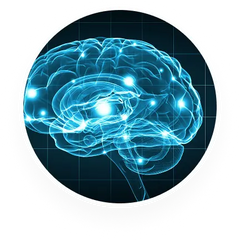 Support Faster Thinking