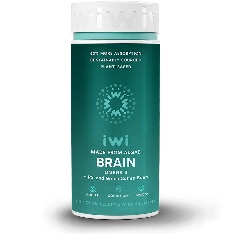 What’s inside IWI Brain?